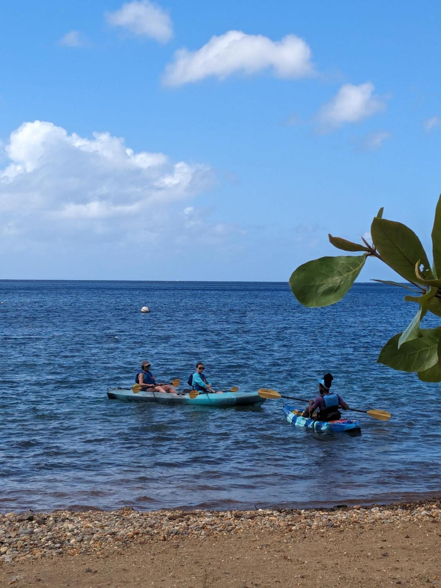 Rainbow Heights Apartment, Soufriere エクステリア 写真